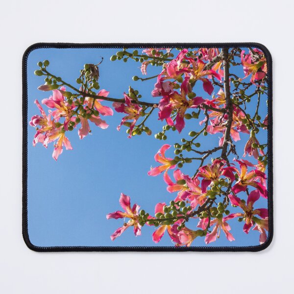Item preview, Vivacious Exotic Blooms - Flowering Silk Floss Tree Ceiba Speciosa designed and sold by Georgia Mizuleva.