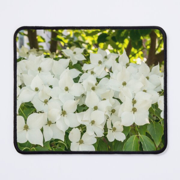Item preview, Because Spring - Dogwoods Blooms   designed and sold by Georgia Mizuleva.