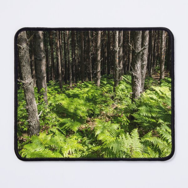 Item preview, Because Summer - Sun Dappled Ferns and Pine Trees designed and sold by Georgia Mizuleva.