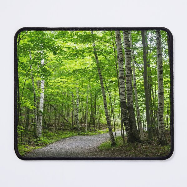 Item preview, Because Summer - Forest Walk Between the Silver Birches designed and sold by Georgia Mizuleva.