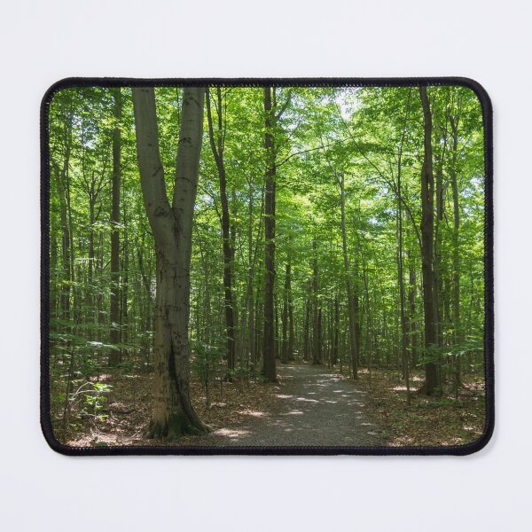 Item preview, Because Summer - Sun Dappled Forest Walk designed and sold by Georgia Mizuleva.