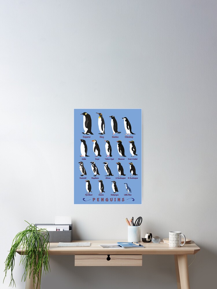 Penguin Species Poster