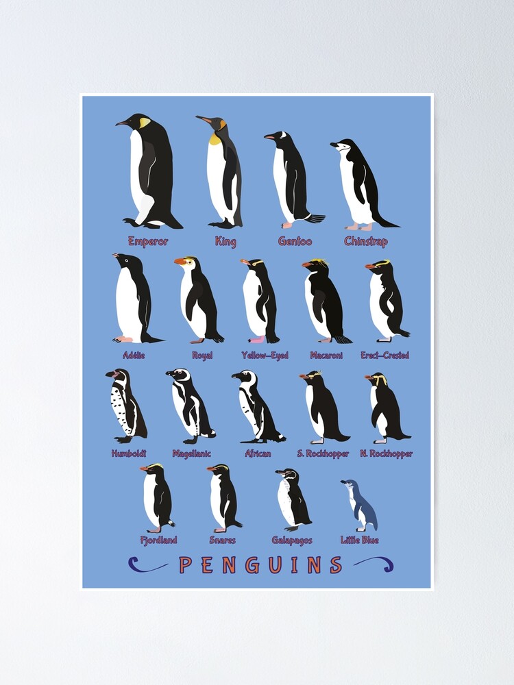 Personalised Penguin Family Tree Topper
