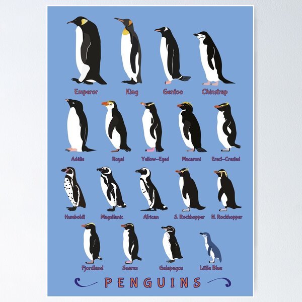 Typex  Penguin Libros