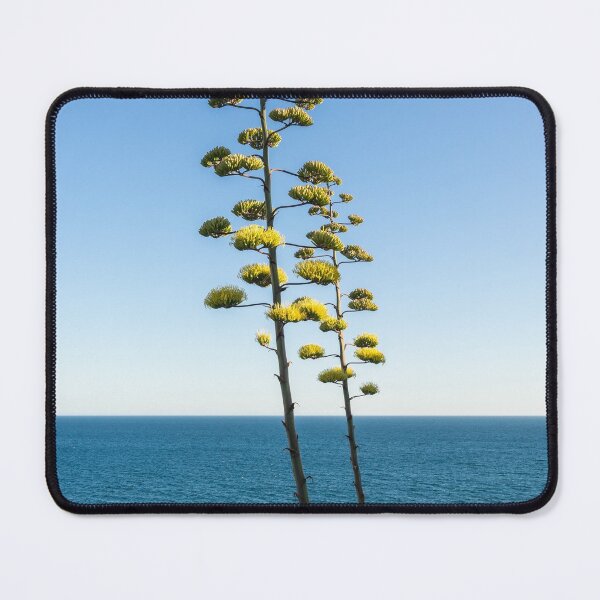 Item preview, Giant Flora - Agave Bloom Spikes on a Seaside Terrace designed and sold by Georgia Mizuleva.