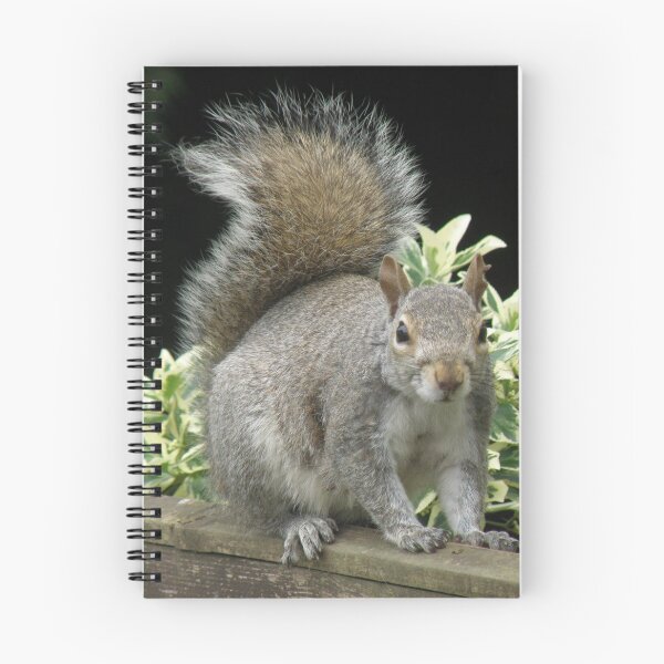 Item preview, Squirrel on a Fence with Ivy Photograph designed and sold by naturegallery.