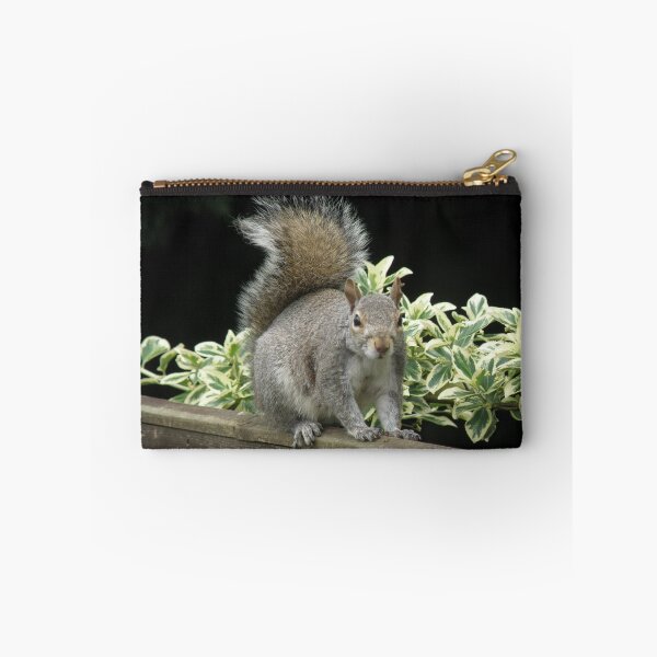 Item preview, Squirrel on a Fence with Ivy Photograph designed and sold by naturegallery.