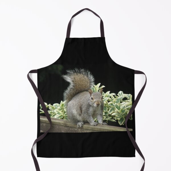 Item preview, Squirrel on a Fence with Ivy Photograph designed and sold by naturegallery.