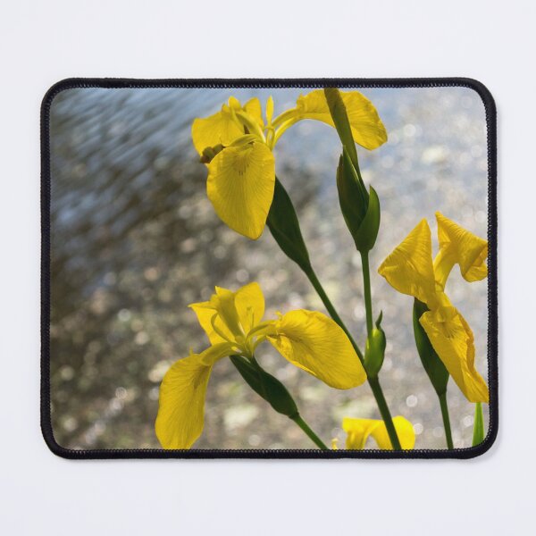 Item preview, Soft Sequins and Spangles - Yellow Irises on the Edge of a Pond designed and sold by Georgia Mizuleva.