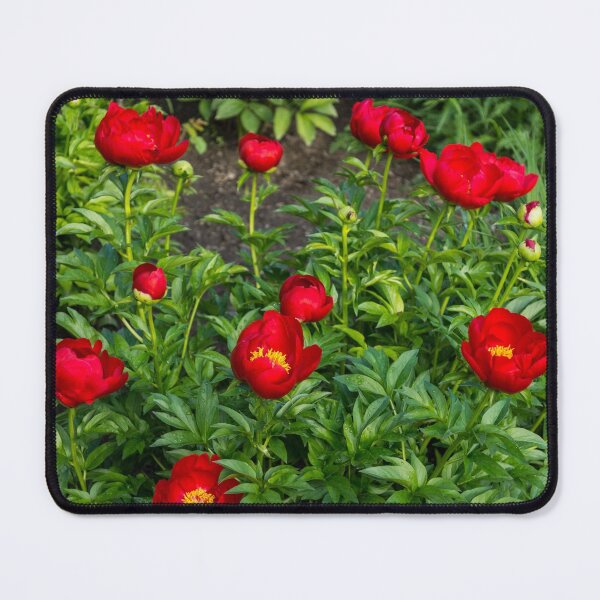 Item preview, Scarlet Peony Garden -  designed and sold by Georgia Mizuleva.