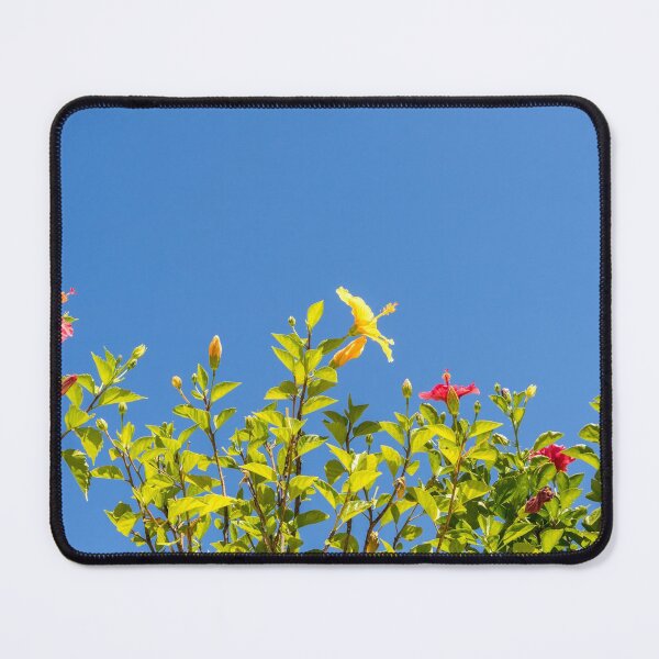 Item preview, Gallivanting in the Tropics - Hibiscus Garden Celebrating the Sunshine designed and sold by Georgia Mizuleva.