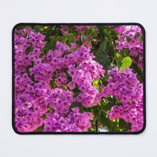 Item preview, Gallivanting in the Tropics - Fuchsia Riot Over the Fence designed and sold by Georgia Mizuleva.