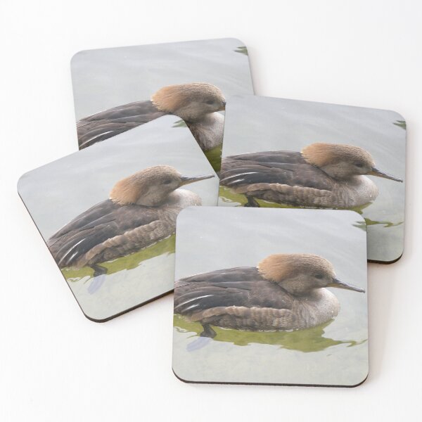 Item preview, Female Hooded Merganser Duck Photograph designed and sold by naturegallery.