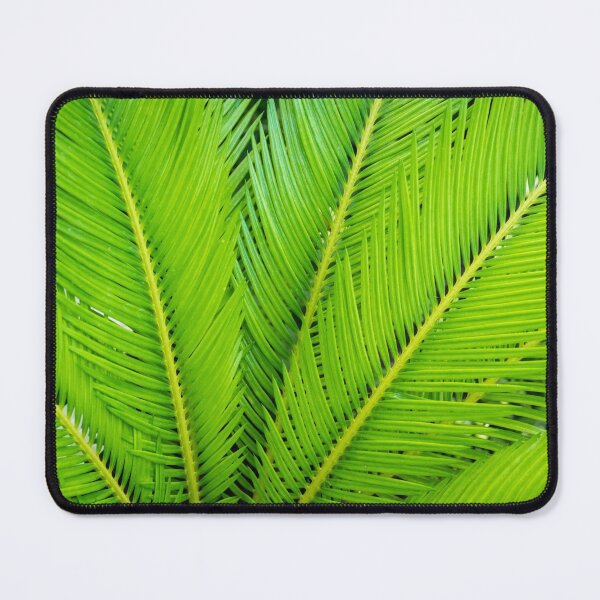 Item preview, Sharp Green Fan - Upwards designed and sold by Georgia Mizuleva.