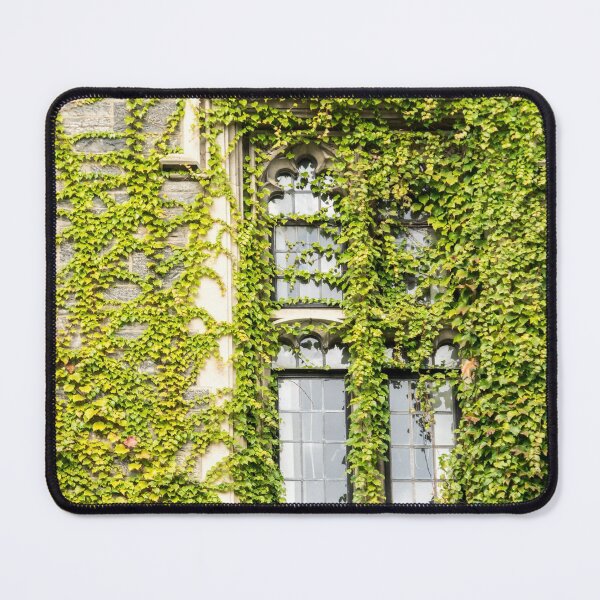 Item preview, Of Windows and Leaves - Ivy Covered designed and sold by Georgia Mizuleva.
