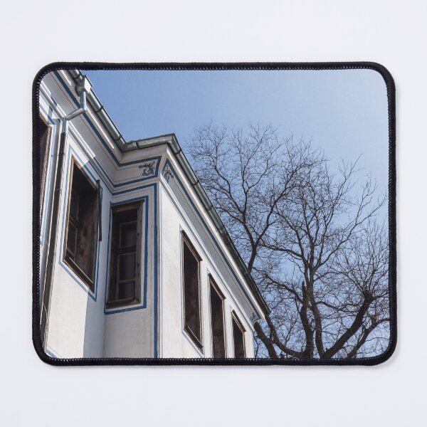Item preview, Cool Blue Sunshine - Elegant Oriel Windows And Bare Branches In Old Town Plovdiv designed and sold by Georgia Mizuleva.
