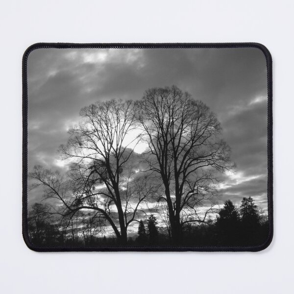 Item preview, Trees in Black and White designed and sold by angel1.