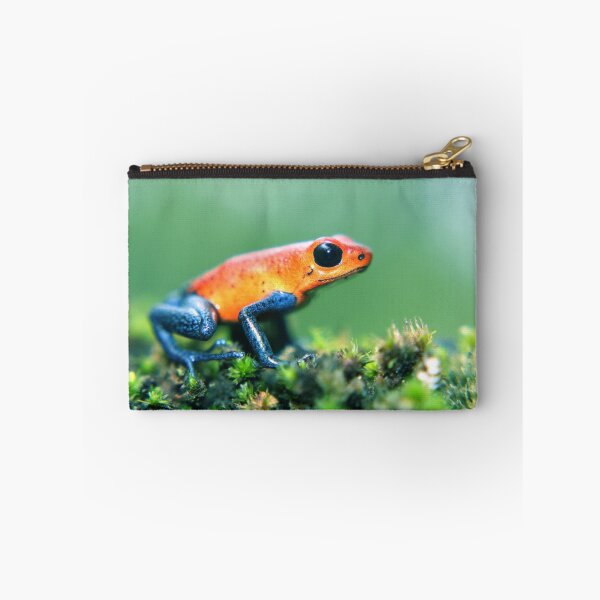 Item preview, Strawberry Poison Dart Frog designed and sold by Robbie Labanowski.