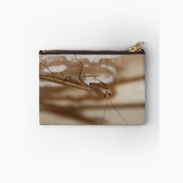 Item preview, Stick Insect designed and sold by littlebiggphoto.