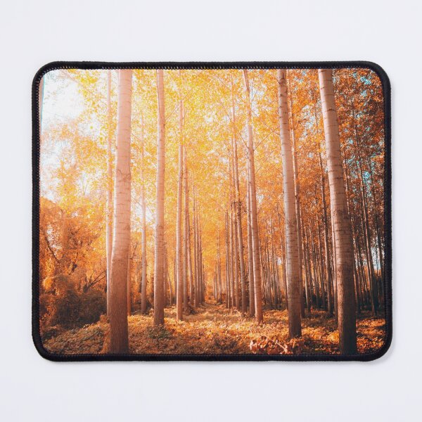 Item preview, Autumn forest designed and sold by thatsit-itslit.