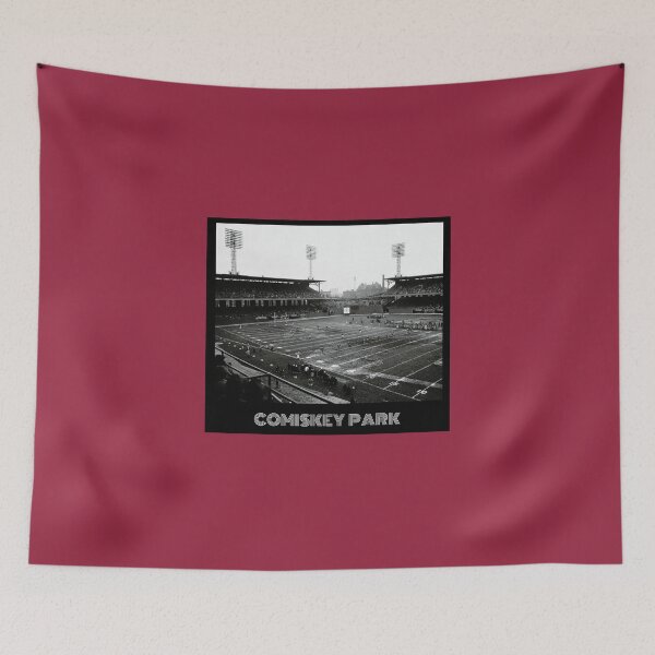 Item preview, Comiskey Park- Cardinals Red designed and sold by DeadStadium.
