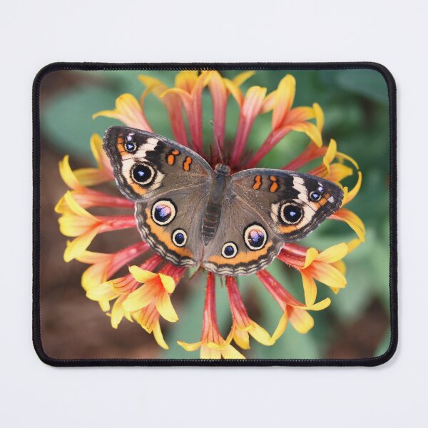 Item preview, Buckeye butterfly designed and sold by rootedrender.