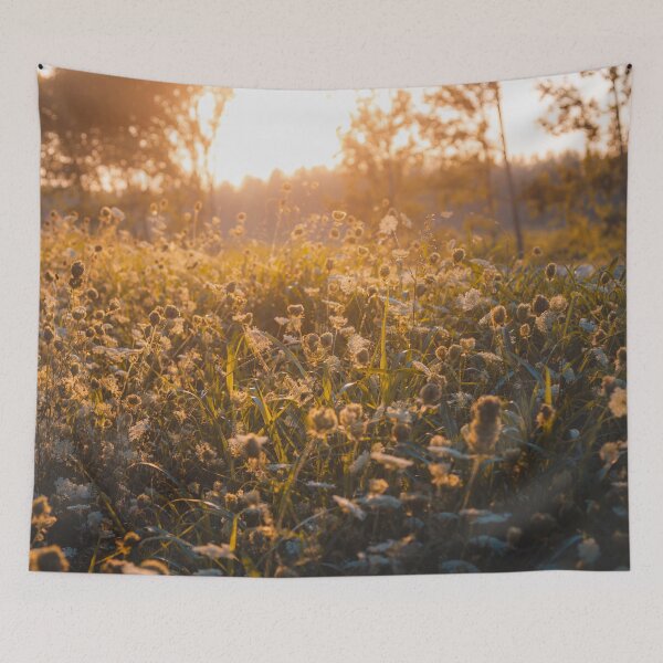 Item preview, Meadow in sunset designed and sold by thatsit-itslit.