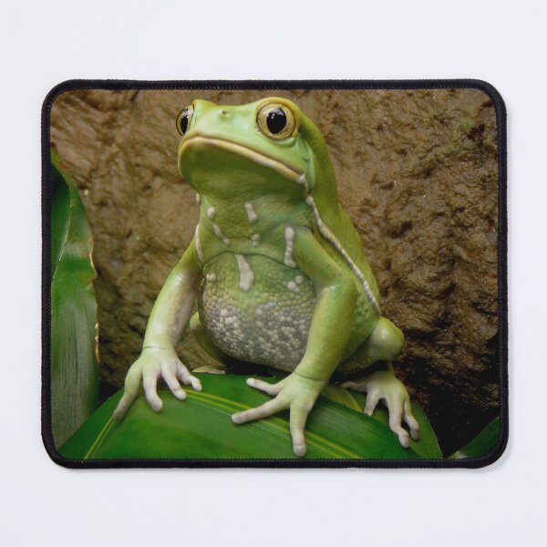 Item preview, Waxy monkey frog designed and sold by rootedrender.