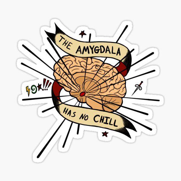 The Amygdala Has No Chill Sticker