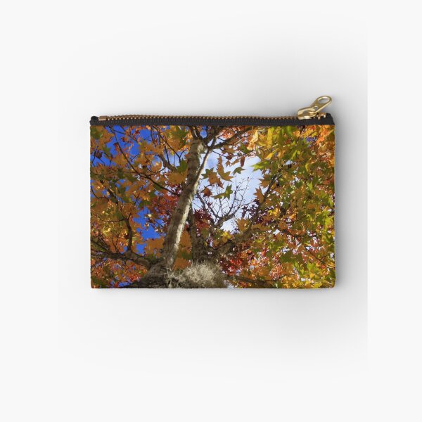 Item preview, Fall In Tallahassee Florida designed and sold by RebeccaBlackman.