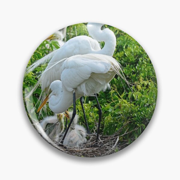 Item preview, Great Egrets And Babies designed and sold by LisaWootenPhoto.