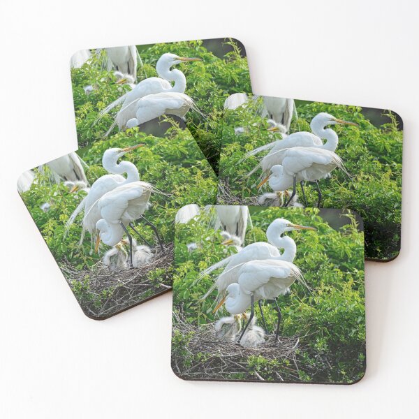 Item preview, Great Egrets And Babies designed and sold by LisaWootenPhoto.
