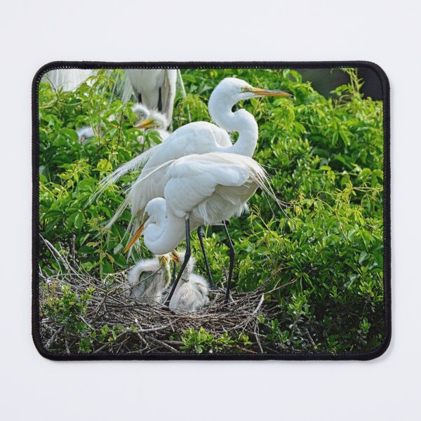 Item preview, Great Egrets And Babies designed and sold by LisaWootenPhoto.