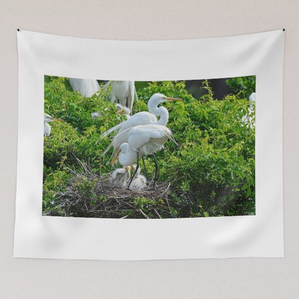 Item preview, Great Egrets And Babies designed and sold by LisaWootenPhoto.