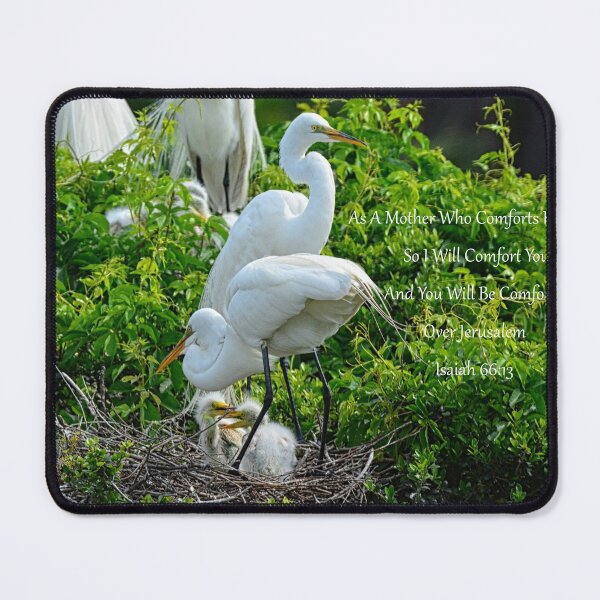 Item preview, Great Egrets And Babies Isaiah 66 13 designed and sold by LisaWootenPhoto.