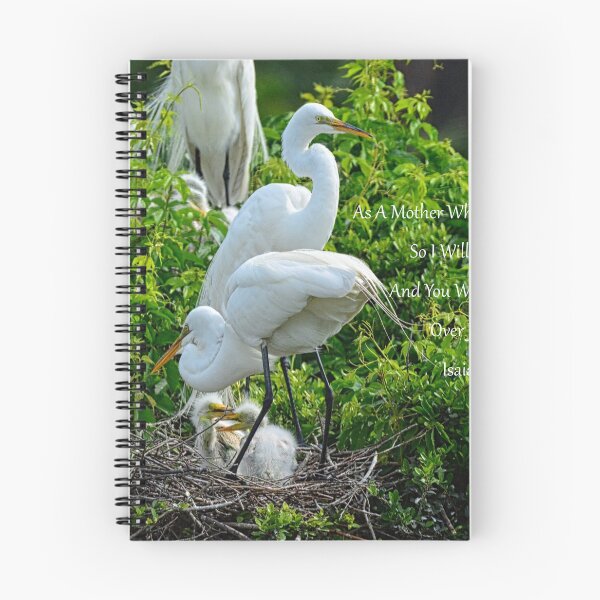 Item preview, Great Egrets And Babies Isaiah 66 13 designed and sold by LisaWootenPhoto.
