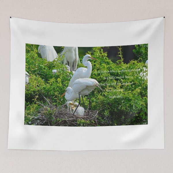 Item preview, Great Egrets And Babies Isaiah 66 13 designed and sold by LisaWootenPhoto.