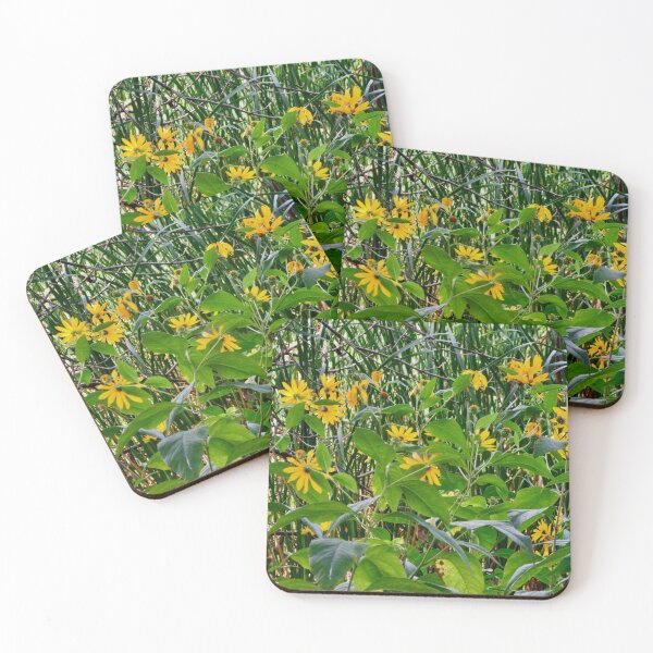 Item preview, Daisies in the reeds designed and sold by Shulie1.