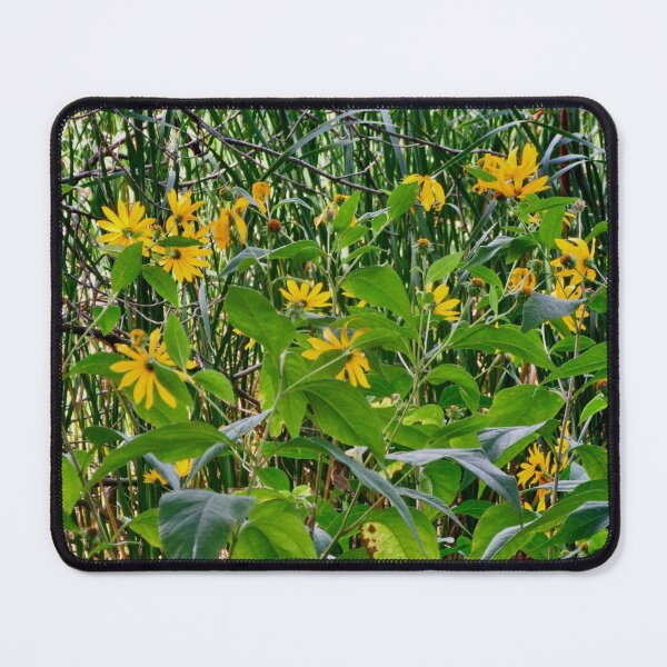 Item preview, Daisies in the reeds designed and sold by Shulie1.