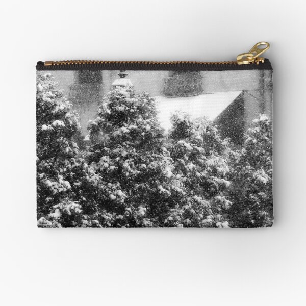 Coming Down!!! © Zipper Pouch