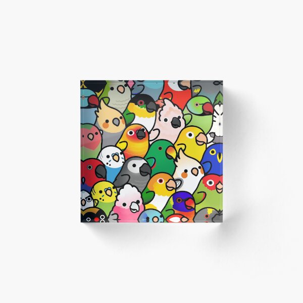 Everybirdy Pattern Acrylic Block