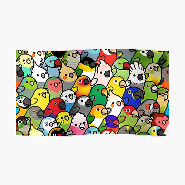 Everybirdy Pattern Poster