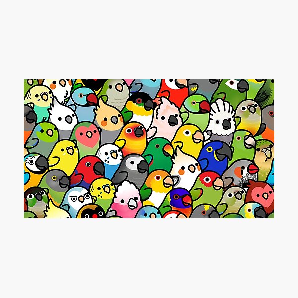 Everybirdy Pattern Photographic Print