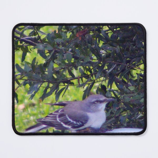 Item preview, Mockingbird designed and sold by kristalcurt.