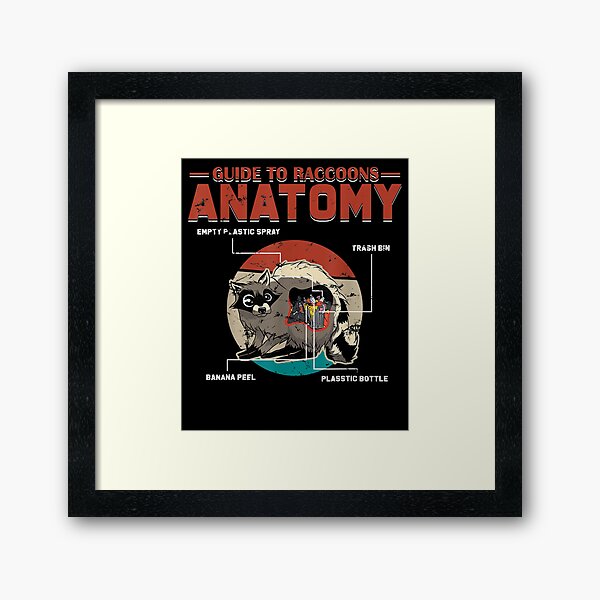 Item preview, Anatomy Of A Raccoon American Mammal Foxlike Pet Gift  designed and sold by bar0zysbertha.