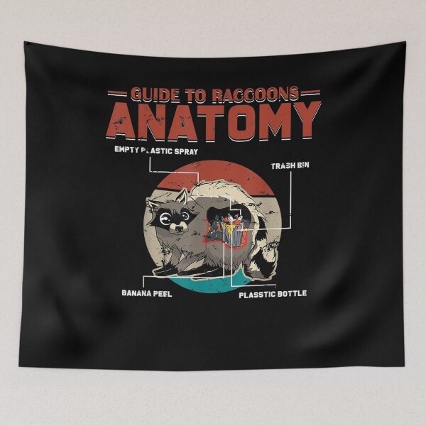 Item preview, Anatomy Of A Raccoon American Mammal Foxlike Pet Gift  designed and sold by bar0zysbertha.
