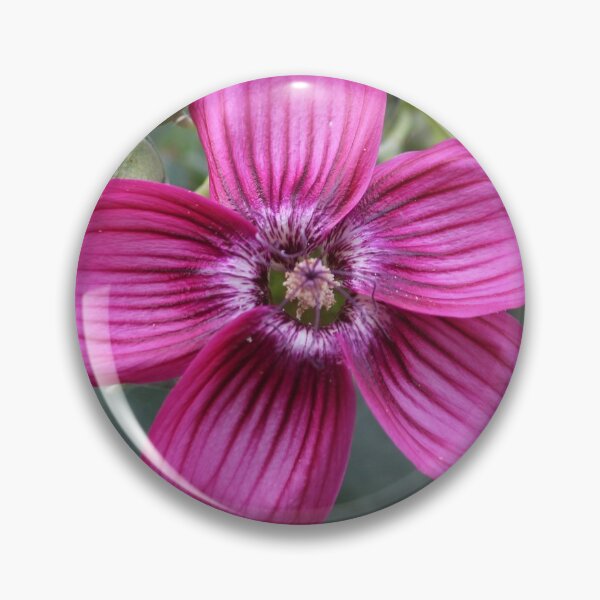 Item preview, Spring for the Island Tree Mallow designed and sold by Martha Sherman.