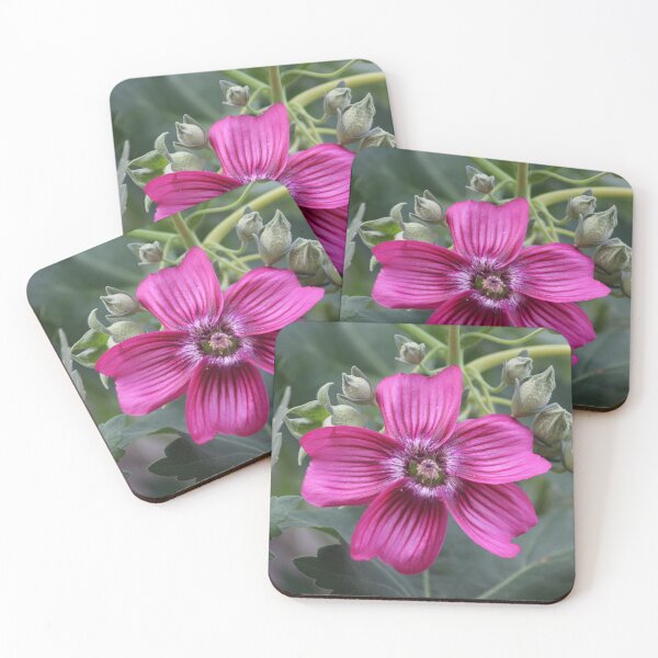 Item preview, Spring for the Island Tree Mallow designed and sold by Martha Sherman.