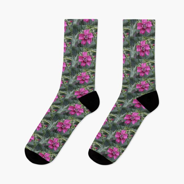 Item preview, Spring for the Island Tree Mallow designed and sold by Martha Sherman.