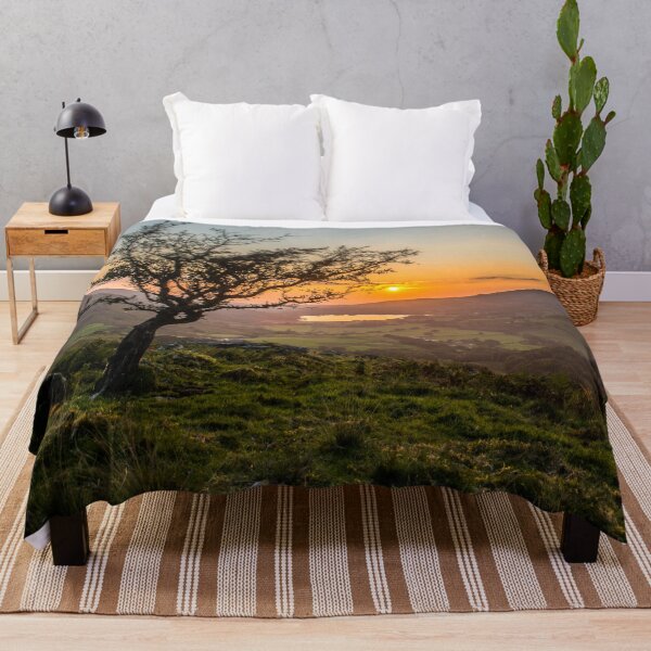 Item preview, A Lonely Tree Looking Over Dyffryn Nantlle During Sunset designed and sold by LluniauDafyddEm.